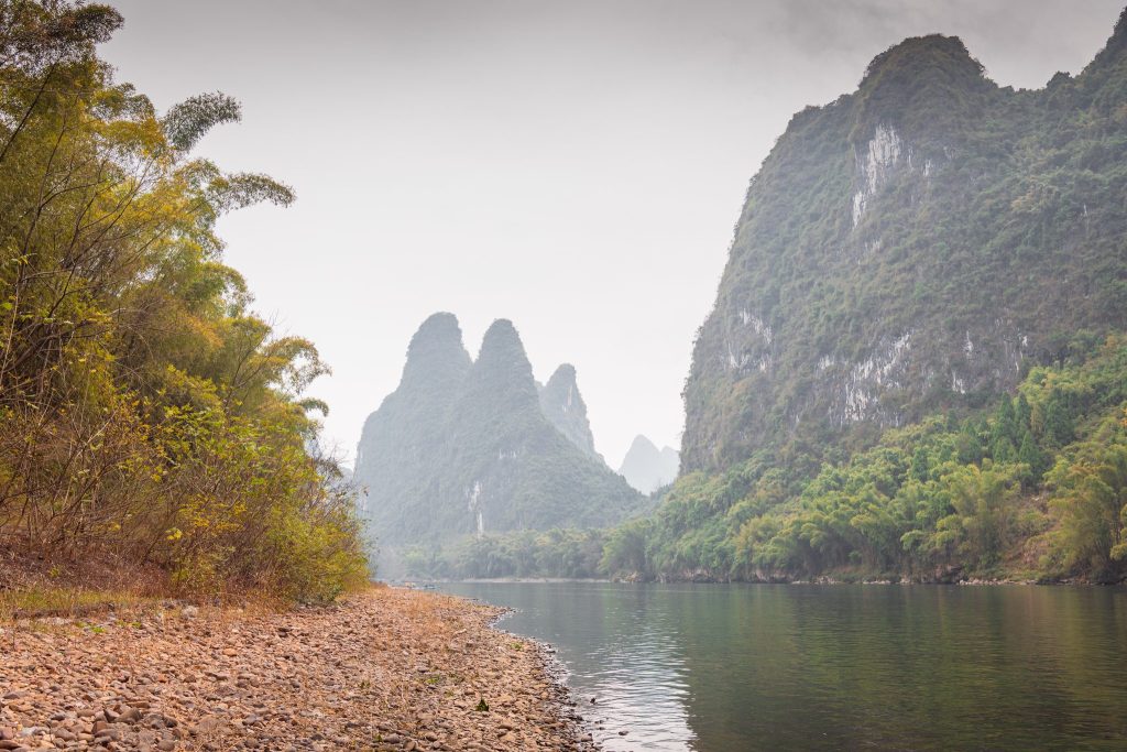 Bamboo overhanging the Li River with karst peaks in the mist beyond
