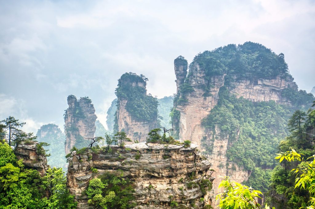 Quartz sandstone pillars of Zhangjiajie National Forest Park rising out of cloud at Wulingyuan, Hunan