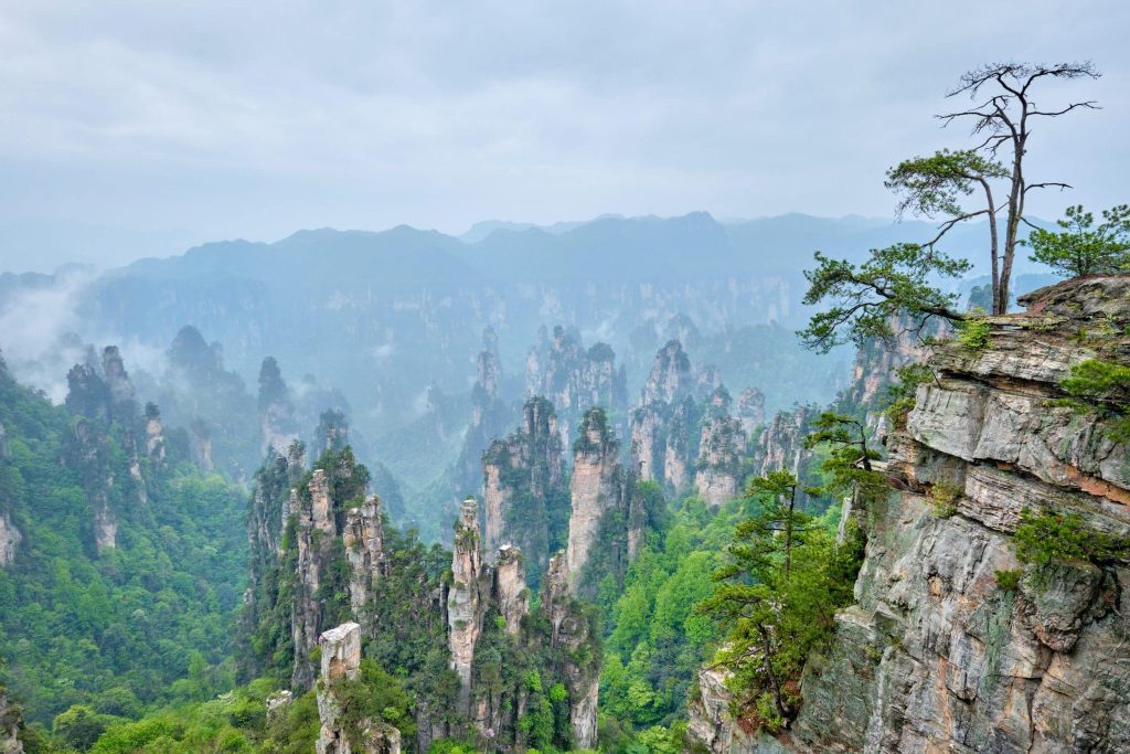 Sandstone pillars rising above the forest at Zhangjiajie, Hunan