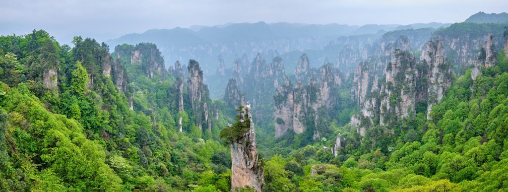 View across the forested sandstone pillars of Zhangjiajie, Hunan