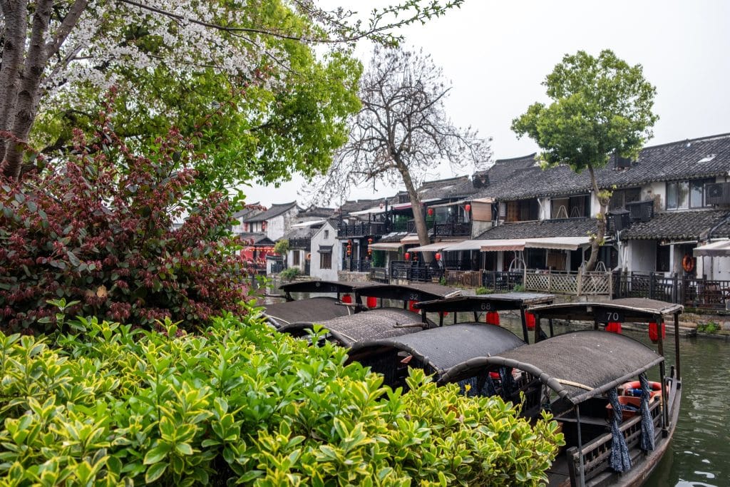 Wooden canal boats moored along a canal lined with traditional white-walled, dark-tile-roofed buildings in Xitang water town, a popular day trip from Hangzhou