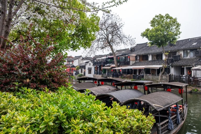 Wooden canal boats moored along a canal lined with traditional white-walled, dark-tile-roofed buildings in Xitang water town, a popular day trip from Hangzhou
