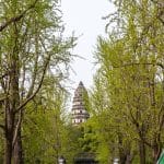 Yunyan Pagoda, the leaning brick pagoda of Tiger Hill, seen through spring trees in Suzhou, China.