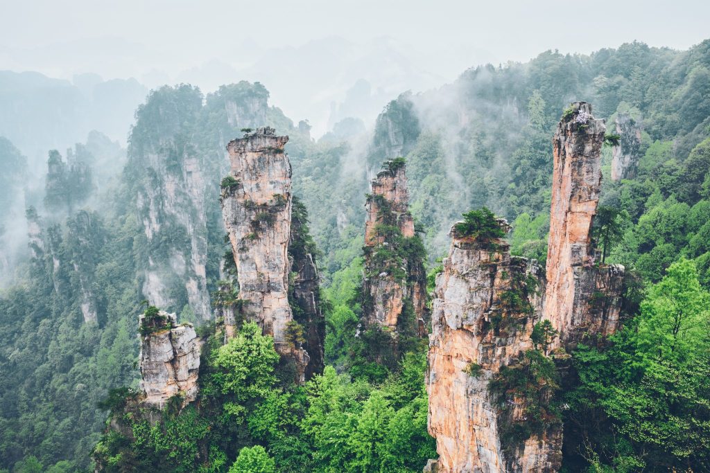 Forested sandstone pillars of the Zhangjiajie mountains in mist
