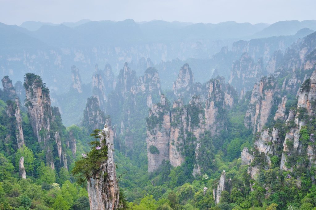 Ranks of sandstone pillars filling a valley in the Zhangjiajie mountains, Hunan