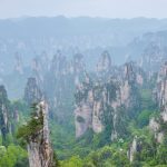 Ranks of sandstone pillars filling a valley in the Zhangjiajie mountains, Hunan